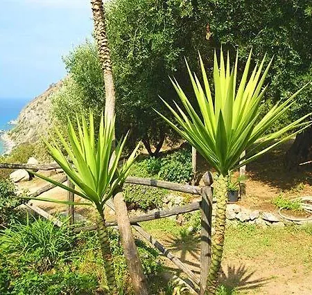 Villa Gemma Joppolo Buitenkant foto