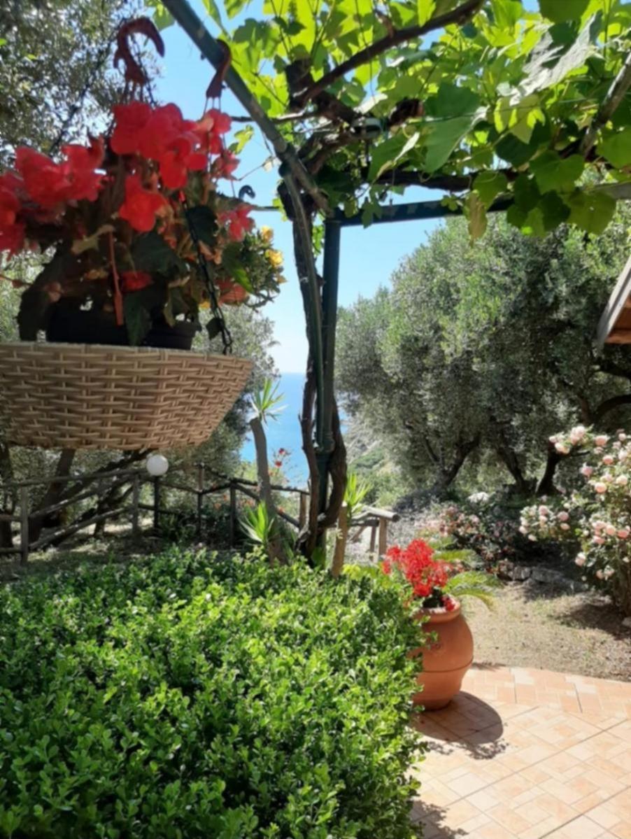 Villa Gemma